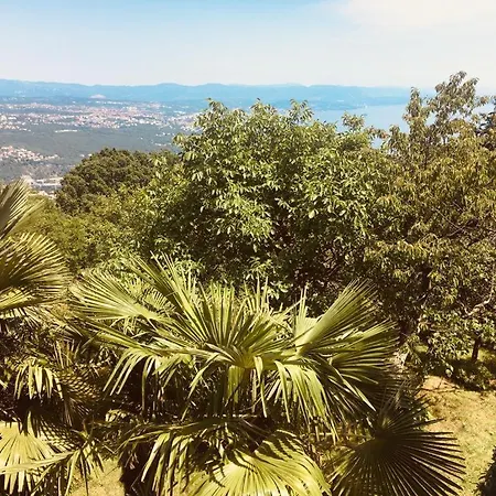 Luxury With Private Pool And 2 Bedrooms In Bay View